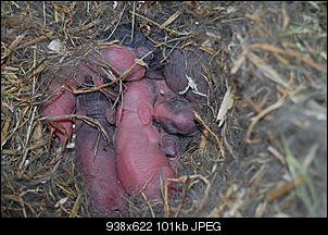 Foto-Tagebuch der Nini-Babys-dsc_4572.jpg