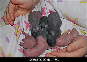 Foto-Tagebuch der Nini-Babys-dsc_4582.jpg