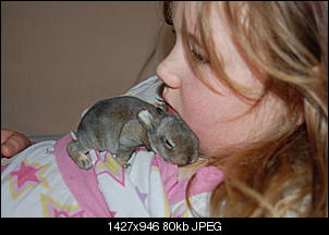 Foto-Tagebuch der Nini-Babys-dsc_4849.jpg