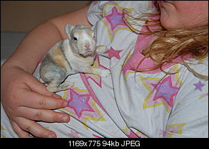 Foto-Tagebuch der Nini-Babys-dsc_4851.jpg