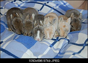 Foto-Tagebuch der Nini-Babys-dsc_4988.jpg
