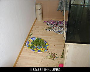 M�nnlich, ledig, jung sucht ....-dsc01146.jpg