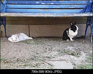 Hallo... TobiasM stellt sich vor-chilln.jpg
