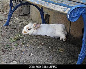 Hallo... TobiasM stellt sich vor-chilln2.jpg