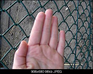 Besser sp�t als nie :)-100_3740.jpg