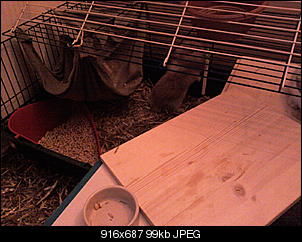 *Das sind meine Schnuffels*-foto0827.jpg