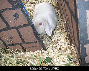 Die Neue ist da.-pict0055.jpg