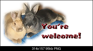 Hurra  ! Wir haben Familienzuwachs-wellcome.png