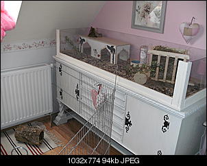 Hier hoppelts auch......-neu8-068.jpg