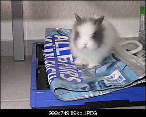 Huhu-einkaufen1.jpg