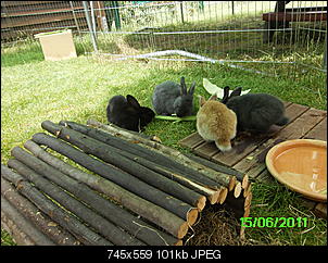 Einfach nur ein paar Bilder-pict0003.jpg