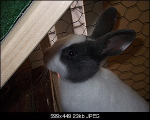 Toshi & Happy-happy-2.jpg