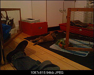 The Flintstones-dsc00153.jpg