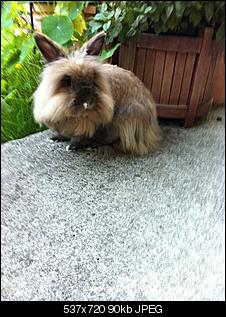 Xaver und Lilly Bilders!!!!-261985_183996268321982_100001348309379_417490_7236115_n.jpg
