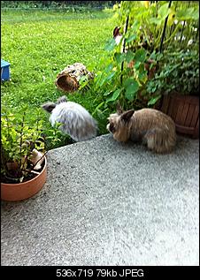 Xaver und Lilly Bilders!!!!-270516_184127668308842_100001348309379_418106_4797783_n.jpg