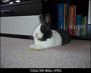 Shiro und Anju -> 2 Zicken auf 4 Pfoten-100_0234.jpg