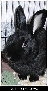 Grisu und Honey-grisu2.jpg