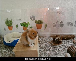 Doch nicht.-foto186.jpg