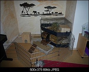 Meine Schnuffel-Tiere-fe01.jpg