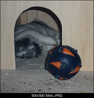 Meine Schnuffel-Tiere-04.jpg