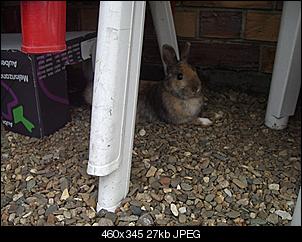 Mal wieder ein paar Bilder meiner S��en :)-cimg4349.jpg