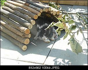 Bella und Henry - Fotosession-henry-schl%E4ft-im-tunnel.jpg