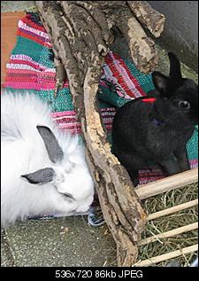 Iduna und Knut-284887_184687174929569_100001648626488_523066_5017238_n.jpg