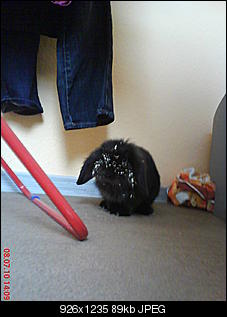 Kloppi & Schnuffel sagen "Hallo" :)-dsc00924.jpg