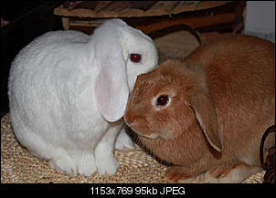 Fritz und seine neue Freundin-img_2923.jpg