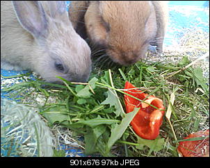 Huhu! Hier sind wir!!! Fotos inklusive!-foto-0150.jpg