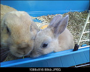 Huhu! Hier sind wir!!! Fotos inklusive!-foto-0138.jpg