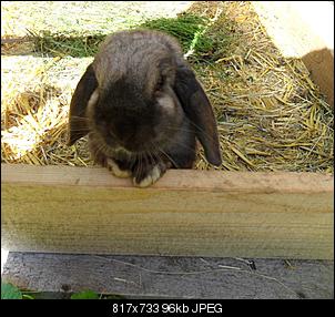 Neue Fotos♥-will-raus-.jpg