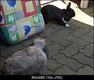 Neue Fotos♥-hallo-.jpg