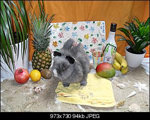 DSDSH~Outtakes-sdc11796.jpg