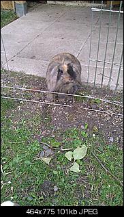 B�cher Ratgeber hin oder her, Realit�t?-imag0017.jpg