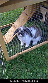 B�cher Ratgeber hin oder her, Realit�t?-imag0003.jpg