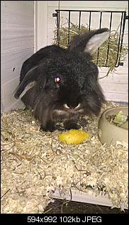 B�cher Ratgeber hin oder her, Realit�t?-imag0024.jpg