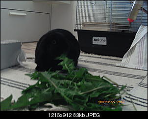 Emma und Emil stellen sich vor-mmh-lecker.jpg