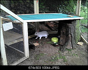 Sissi & Blacky wollen sich vorstellen ;P-2011-09-13_15-37-31_680.jpg