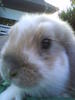Benutzerbild von _Annika_