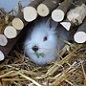 Benutzerbild von _tilda_