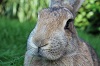 Benutzerbild von Aleyna