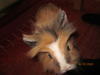 Benutzerbild von alf2112