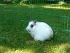 Benutzerbild von Alice