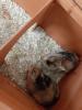 Benutzerbild von Andi367