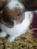 Benutzerbild von anke77