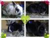 Benutzerbild von Anna Animal