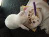 Benutzerbild von Barby2012