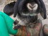 Benutzerbild von Baxter
