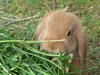 Benutzerbild von beckchen25